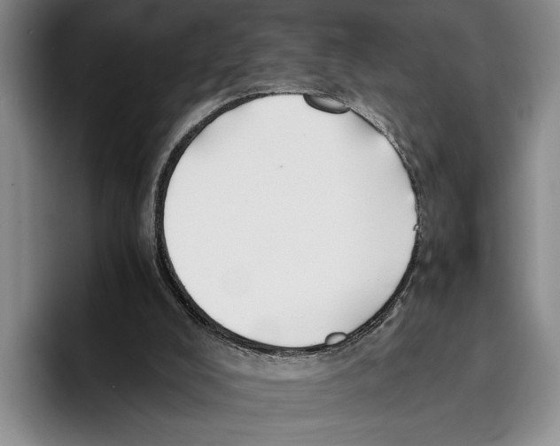 X0000096380008200802211130