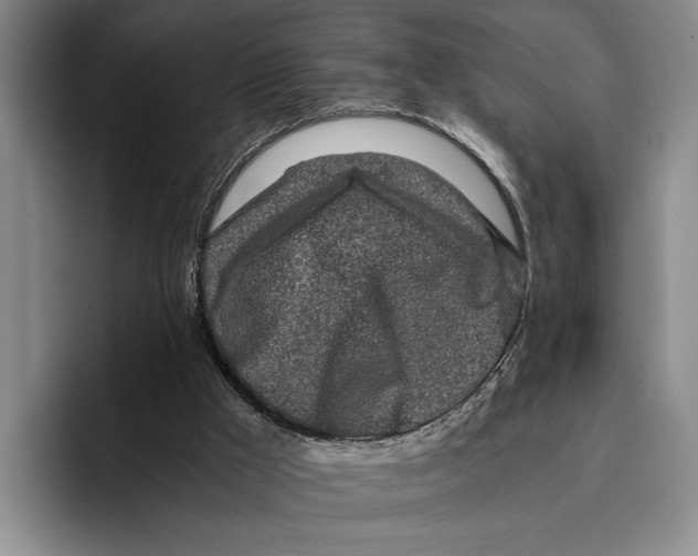 X0000096380009200802211130