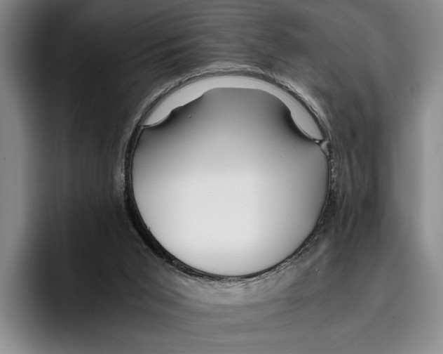 X0000096380015200802211130