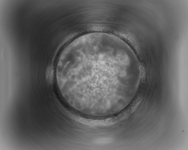 X0000096380016200802211130