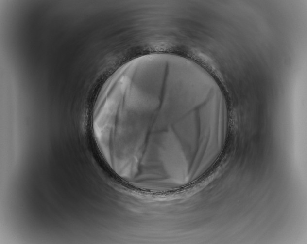 X0000096380018200802211130