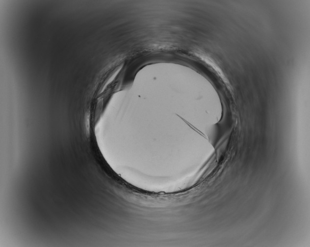 X0000096380019200802211130