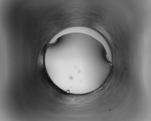 X0000096380021200802211130