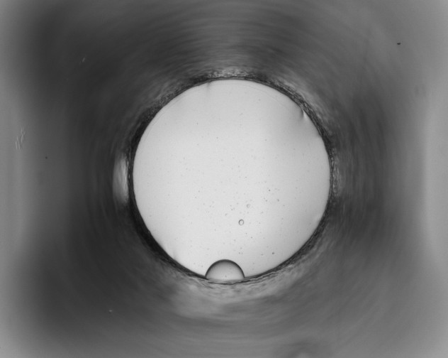 X0000096380022200802211130