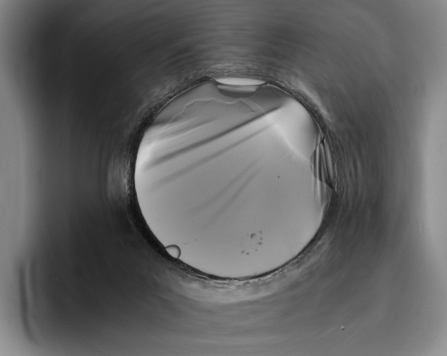 X0000096380023200802211130