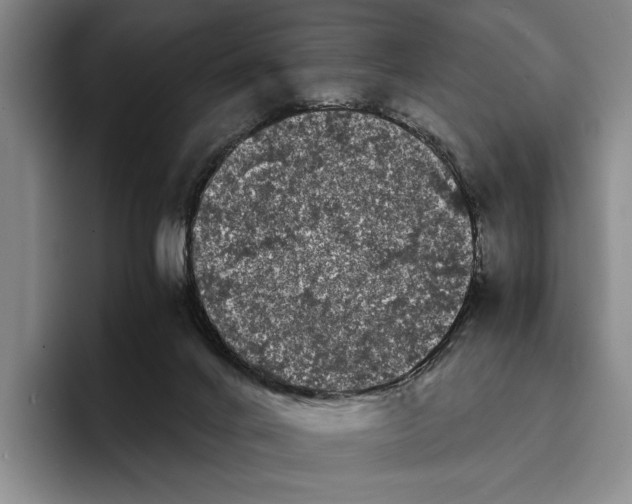 X0000096380024200802211130