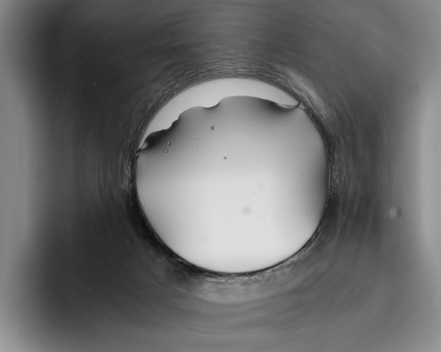 X0000096380025200802211130