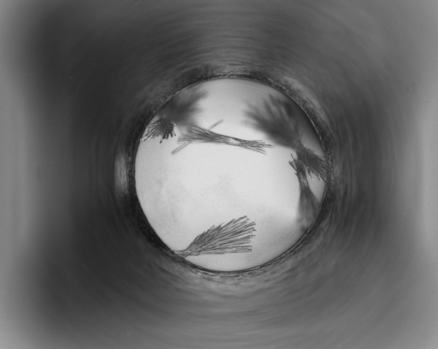X0000096380026200802211130
