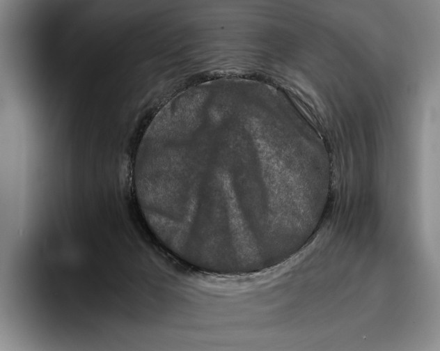 X0000096380029200802211130