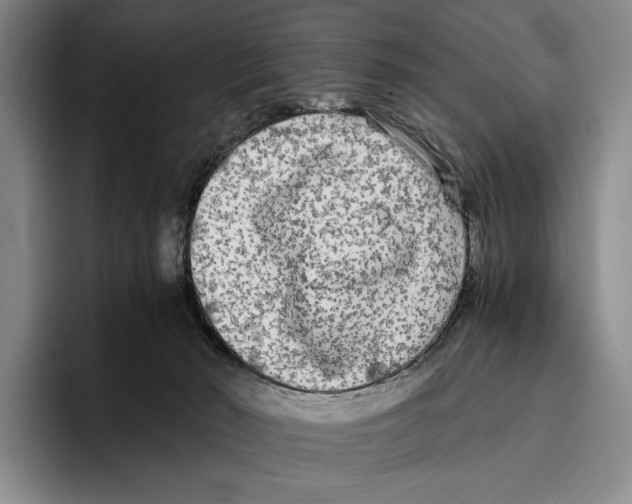 X0000096380030200802211130