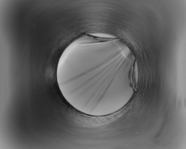 X0000096380031200802211130