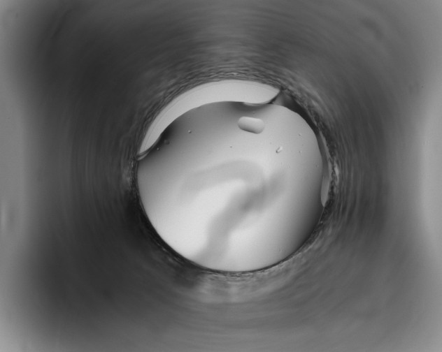 X0000096380033200802211130