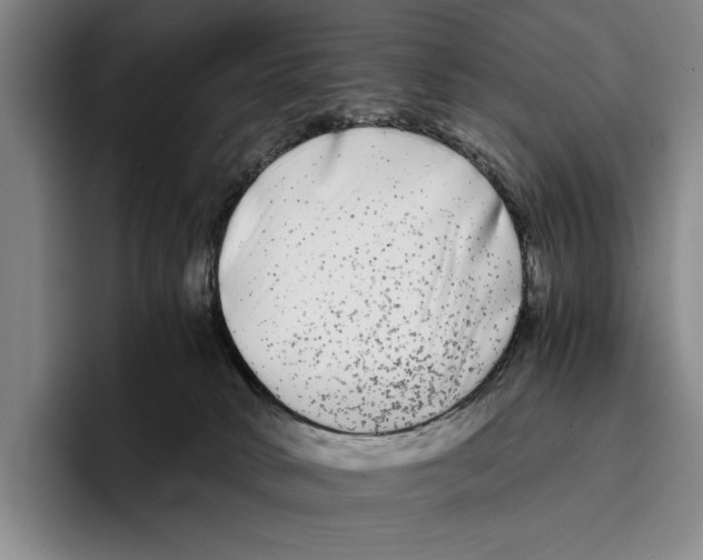 X0000096380034200802211130