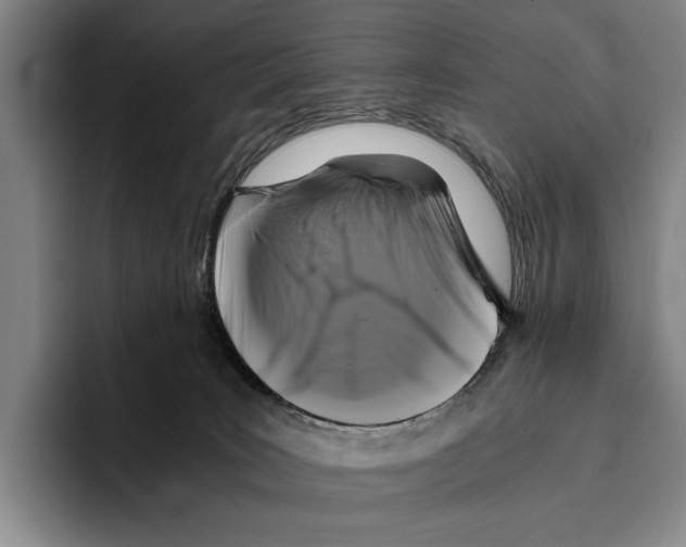 X0000096380035200802211130