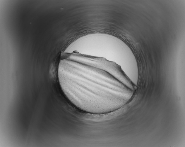 X0000096380037200802211130