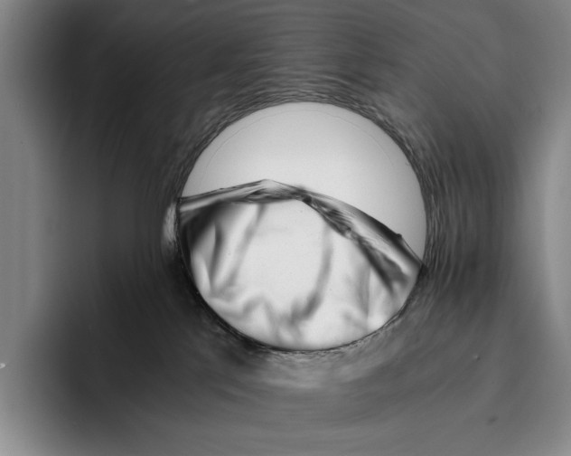 X0000096380041200802211130