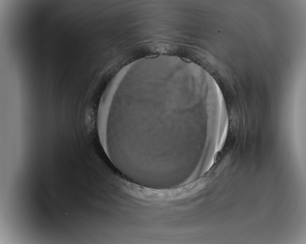 X0000096380043200802211130