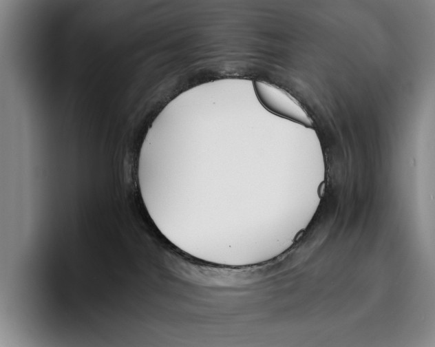 X0000096380044200802211130