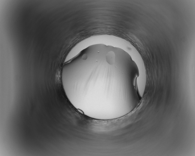 X0000096380045200802211130