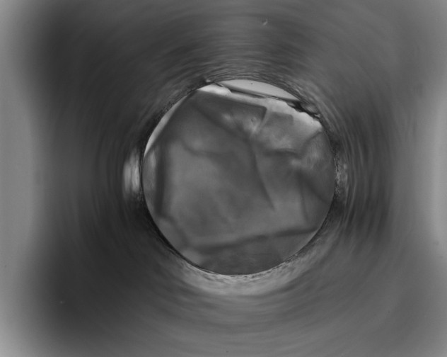 X0000096380046200802211130