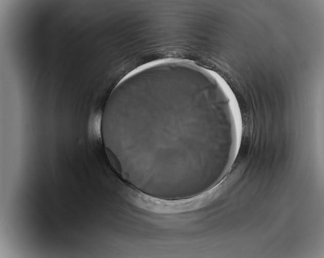 X0000096380047200802211130