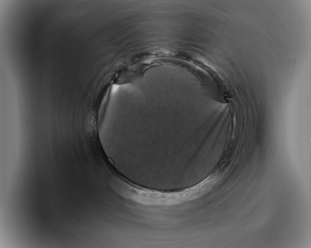 X0000096380048200802211130