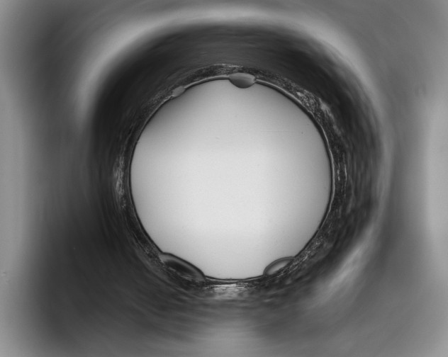 X0000096380050200802211129