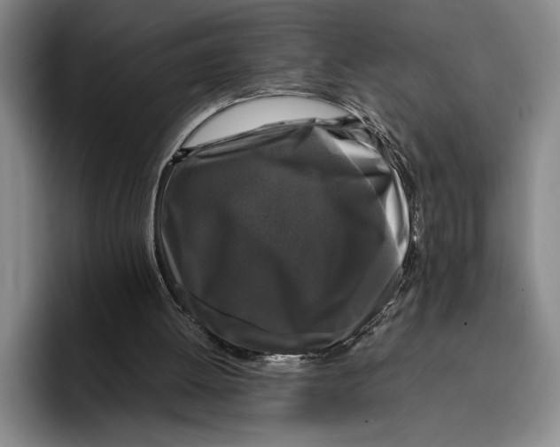 X0000096380052200802211129