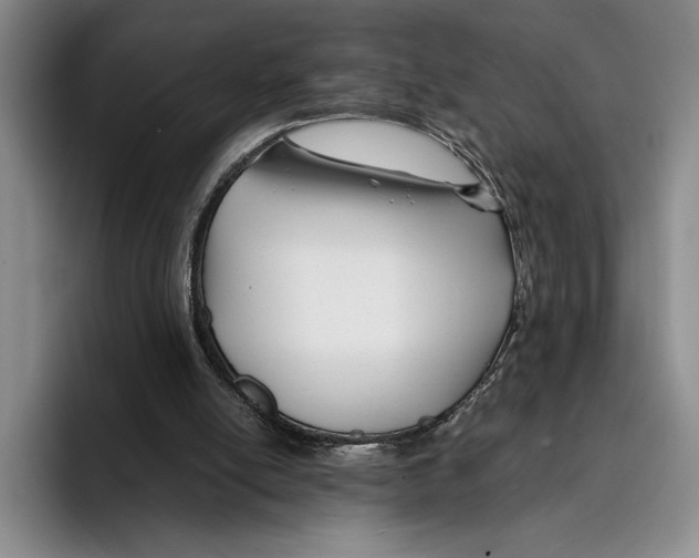 X0000096380054200802211129