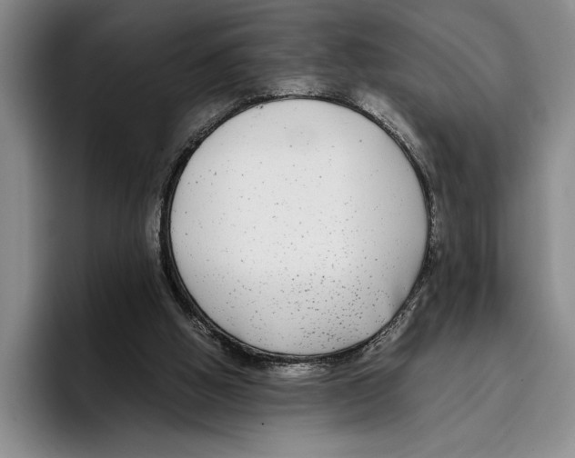 X0000096380058200802211129