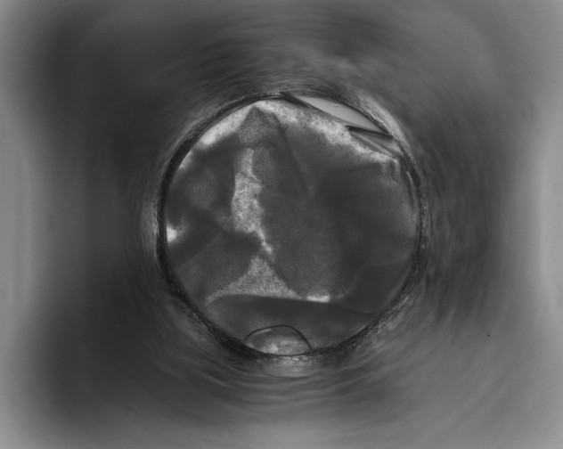 X0000096380059200802211129