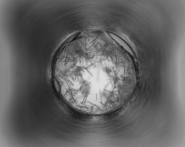 X0000096380060200802211129