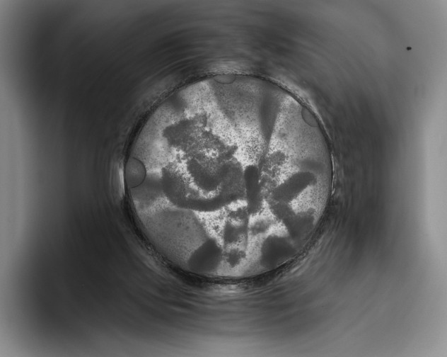 X0000096380061200802211129