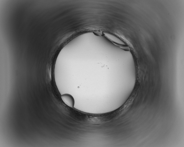 X0000096380062200802211129