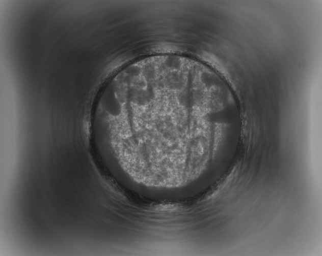 X0000096380063200802211129