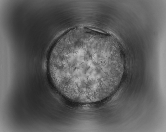 X0000096380064200802211129