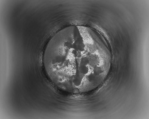 X0000096380065200802211129