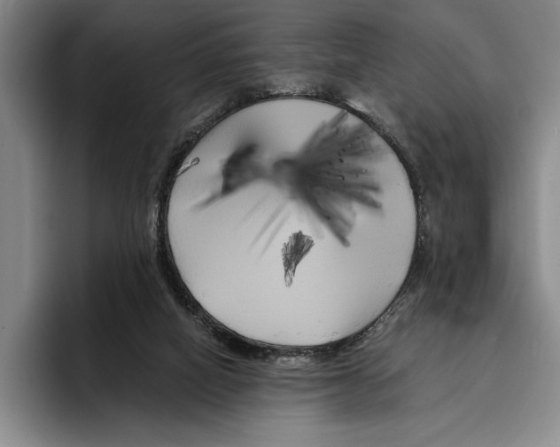 X0000096380066200802211129