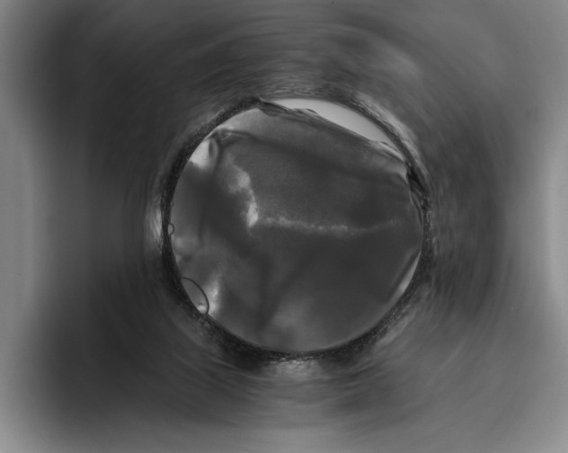 X0000096380067200802211129