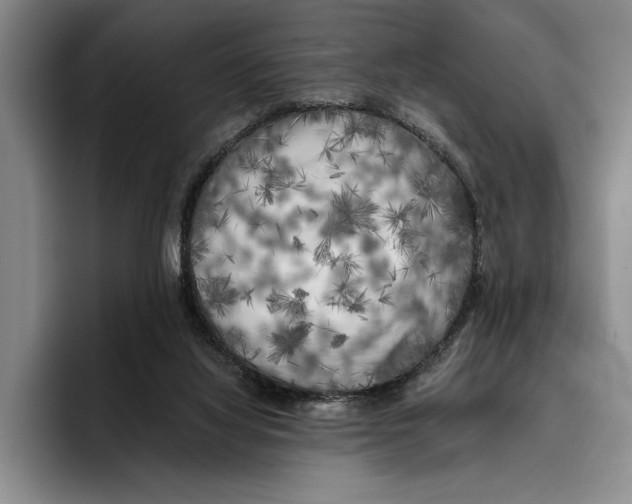 X0000096380068200802211129