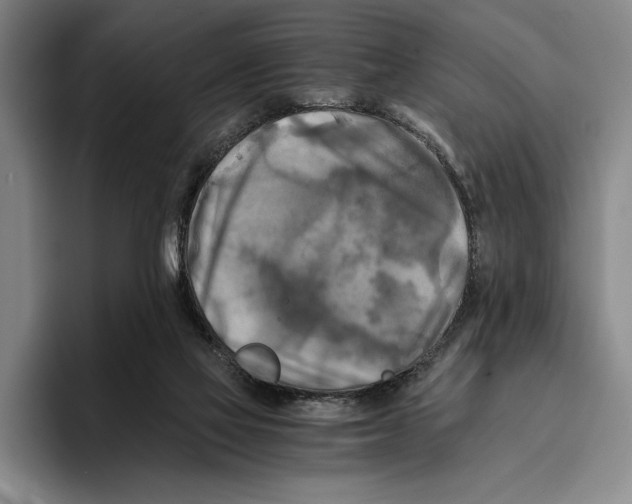 X0000096380069200802211129