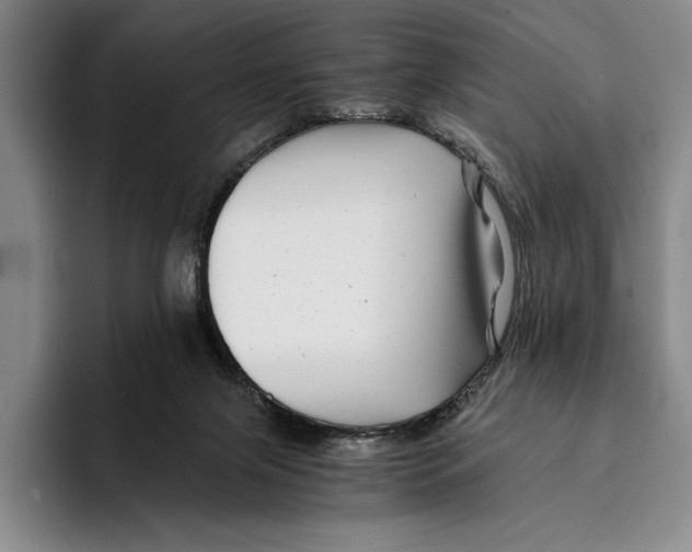 X0000096380071200802211129