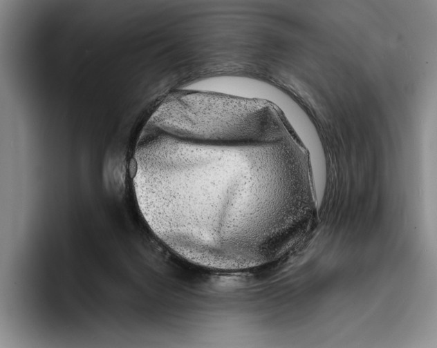 X0000096380072200802211129