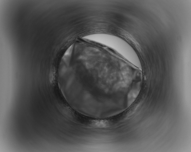 X0000096380073200802211129