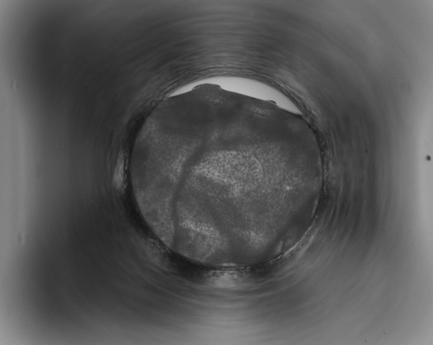 X0000096380074200802211129