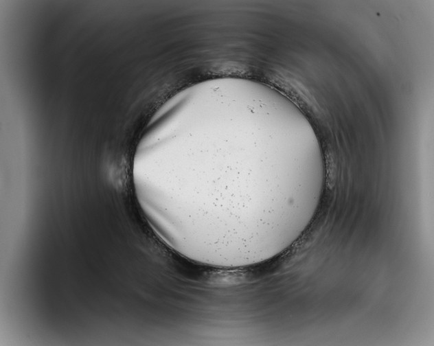 X0000096380077200802211129