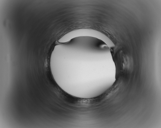 X0000096380084200802211130