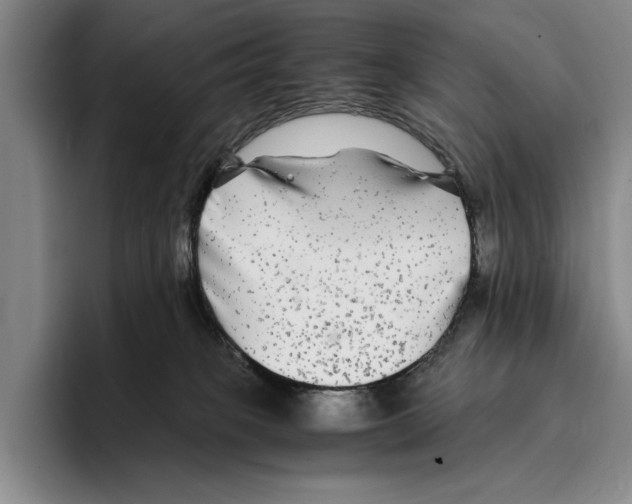 X0000096380085200802211130