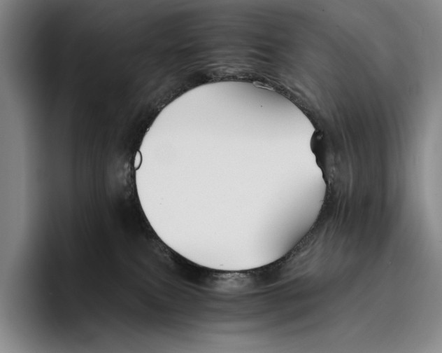 X0000096380087200802211130