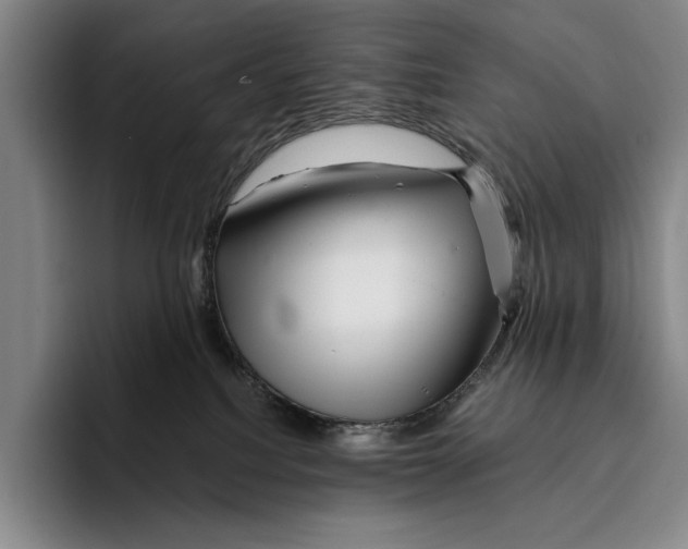 X0000096380088200802211130